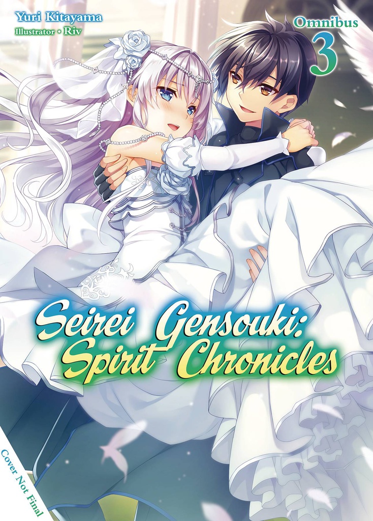 SEIREI GENSOUKI SPIRIT CHRONICLES OMNIBUS NOVEL 3