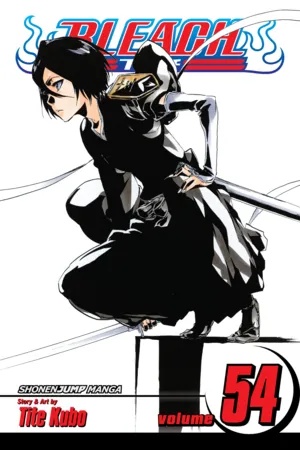 BLEACH 54