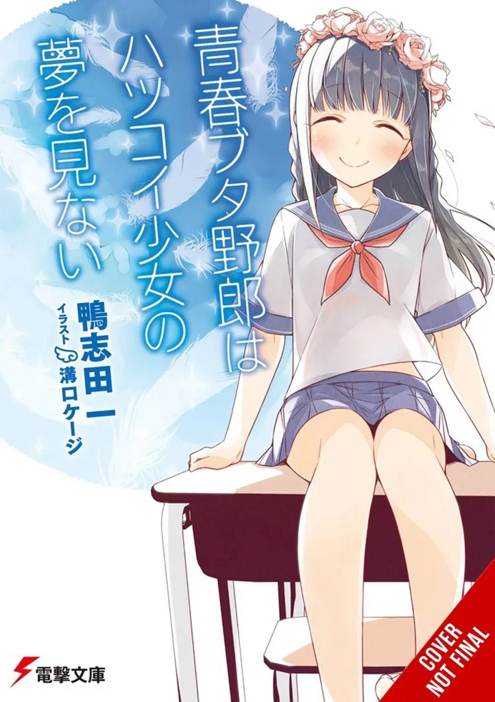 RASCAL DOES NOT DREAM OF HATSUKOI SHOUJO LIGHT NOVEL