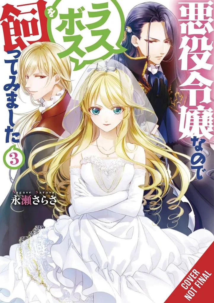 VILLAINESS TAMING THE FINAL BOSS NOVEL 3