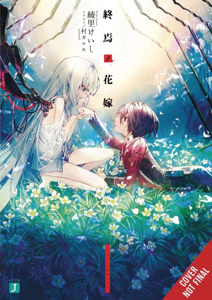 BRIDE OF DEMISE LIGHT NOVEL 1