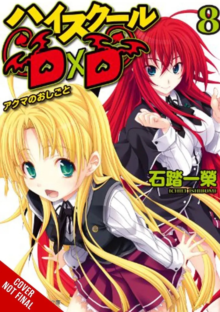 HIGHHOOL DXD LIGHT NOVEL 8