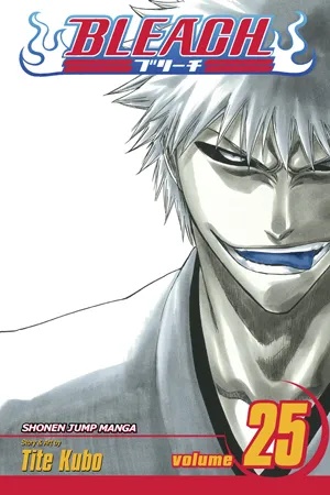 BLEACH 25