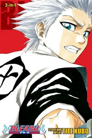 BLEACH 3IN1 6