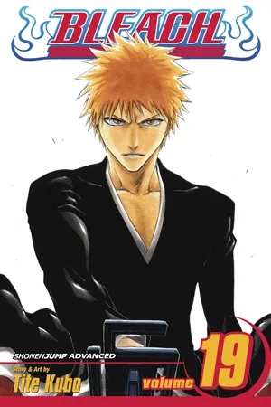 BLEACH 19