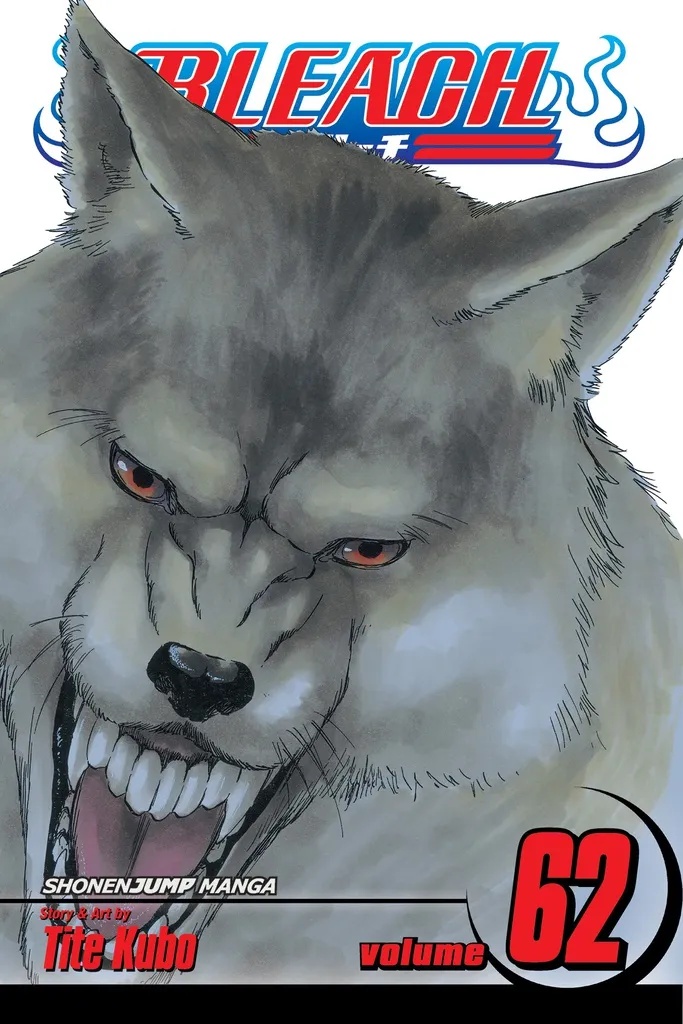 BLEACH 62