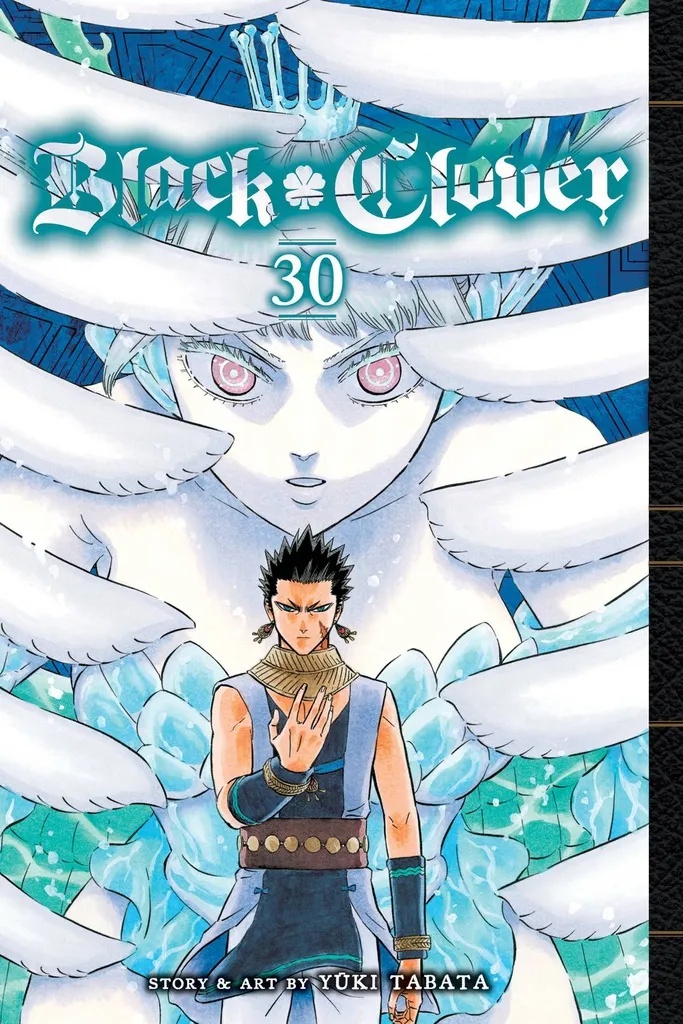 BLACK CLOVER 30