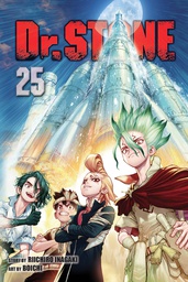 [9781974736317] DR STONE 25