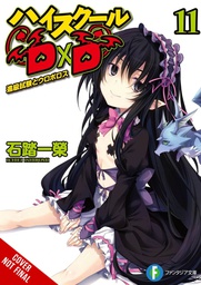 [9781975348168] HIGHHOOL DXD LIGHT NOVEL 11