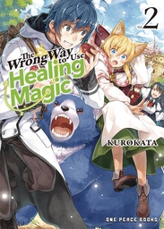 [9781642732320] WRONG WAY TO USE HEALING MAGIC LIGHT NOVEL 2