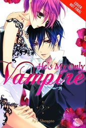 [9780316260558] HES MY ONLY VAMPIRE 3