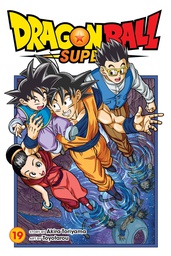 [9781974739103] DRAGON BALL SUPER 19
