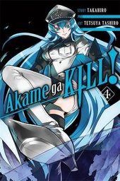 [9780316340052] AKAME GA KILL 4