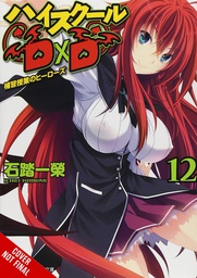 [9781975350383] HIGH SCHOOL DXD 12