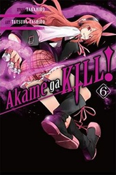 [9780316340083] AKAME GA KILL 6