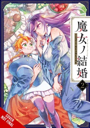 [9781975370237] WITCHES MARRIAGE 2