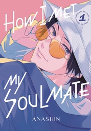 [9781646518753] HOW I MET MY SOULMATE 1
