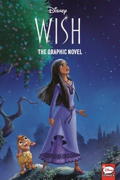 [9780736444354] DISNEY WISH