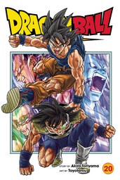 [9781974743605] DRAGON BALL SUPER 20