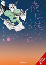 [9781975380670] NIGHTS WITH A CAT 3