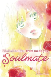 [9781974743742] KIMI NI TODOKE FROM ME TO SOULMATE 1