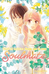 [9781974746095] KIMI NI TODOKE FROM ME TO SOULMATE 2