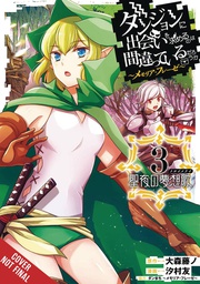 [9798855402216] WRONG TO PICK UP GIRLS IN DUNGEON MEMORIA FREESE 3
