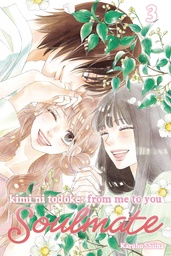[9781974749010] KIMI NI TODOKE FROM ME TO SOULMATE 3