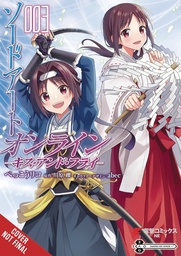 [9781975394721] SWORD ART ONLINE KISS & FLY 3