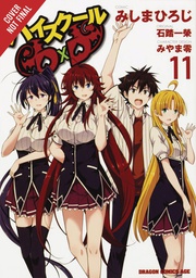 [9781975328078] HIGH SCHOOL DXD 11