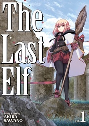 [9798893733891] LAST ELF 1