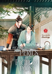 [9798891605909] YOUVE GOT MAIL PERILS OF PIGEON POST L NOVEL 3