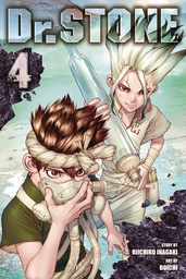 [9781974704460] DR STONE 4