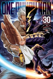 [9781974752508] ONE PUNCH MAN 30