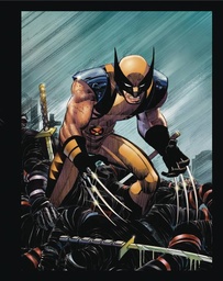 [9798337400600] MARVELS DEADPOOL & WOLVERINE ILLUSTRATED HIST BOX SET