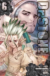 [9781974705061] DR STONE 6