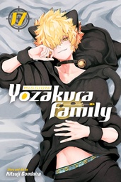[9781974755134] MISSION YOZAKURA FAMILY 17