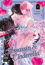 [9781646093502] ASSASSIN & CINDERELLA 2