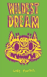 [9781942801047] WILDEST DREAM GARY PANTER
