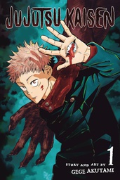 [9781974710027] JUJUTSU KAISEN 1