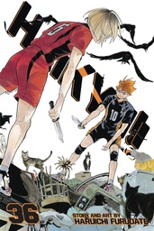 [9781974710720] HAIKYU 36