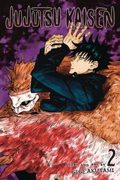 [9781974710034] JUJUTSU KAISEN 2