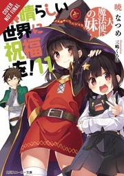 [9781975332365] KONOSUBA GOD BLESSING ON THIS WONDERFUL WORLD LIGHT NOVEL 11