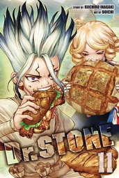 [9781974714797] DR STONE 11