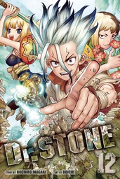 [9781974715299] DR STONE 12