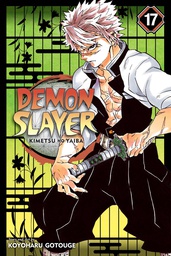 [9781974710614] DEMON SLAYER KIMETSU NO YAIBA 17