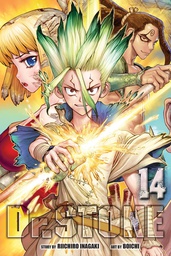 [9781974717293] DR STONE 14