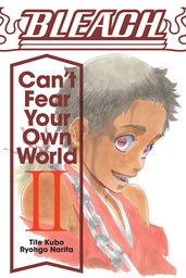 [9781974713271] BLEACH CANT FEAR YOUR OWN WORLD LIGHT NOVEL 2