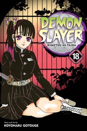 [9781974717606] DEMON SLAYER KIMETSU NO YAIBA 18
