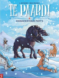 [9789463066785] Te paard! 6 Doorgewinterde Pony's
